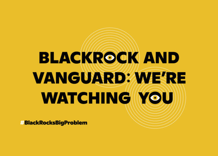 text reading BlackRock and Vanguard we're watching you. The O in BlackRock and You has been replaced with eyes.