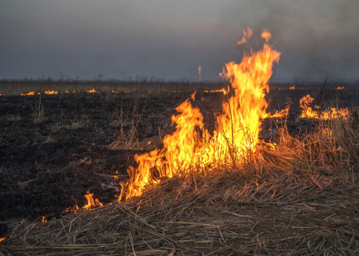 haystack on fire in a field close up
